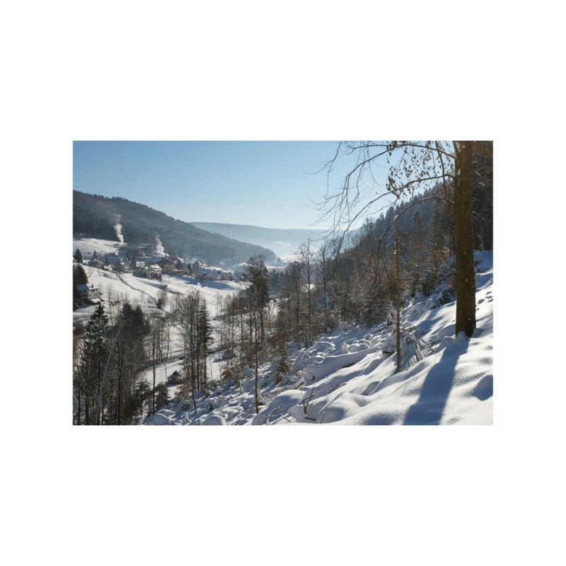 Traube_Winterlandschaft